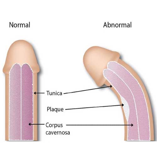  Urology Department