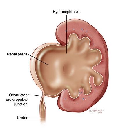  Urology Department